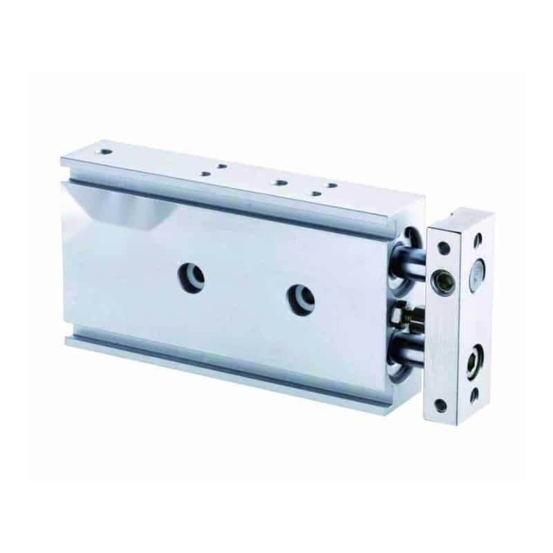 CXS Series Dual Rod Guided Pneumatic Cylinder